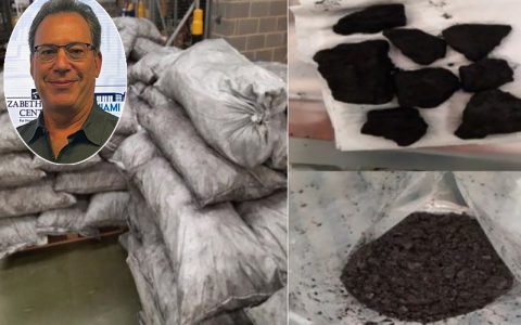 Picture of chemically concealed cocaine in shipment of charcoal, with an inset picture of DEA expert Gary Goldberg