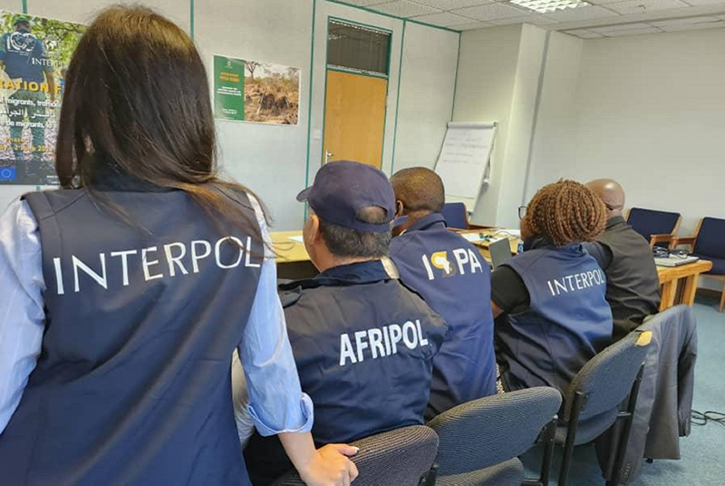 INTERPOL and AFRIPOL staff in an operations room, viewed from the rear