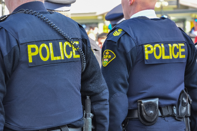 Ontario Provincial Police ( OPP )