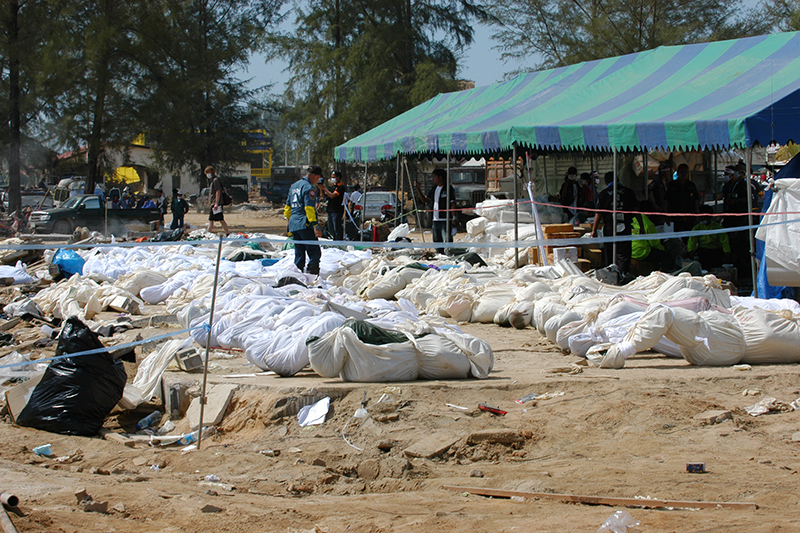 rows of body bags after 2004 tsunami